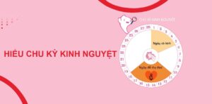 mẹo duy trì và cân bằng chu kỳ kinh nguyệt