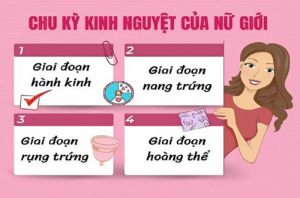 lợi ích khi biết chu kỳ kinh nguyệt