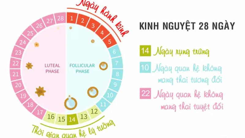 chu kỳ kinh nguyệt 30 ngày