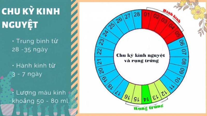 chu kỳ kinh nguyệt an toàn