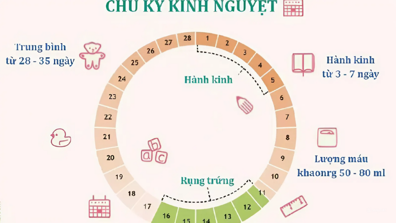 chu kỳ kinh nguyệt an toàn