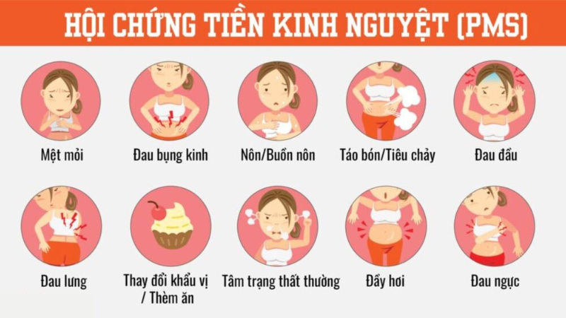 vòng chu kỳ kinh nguyệt