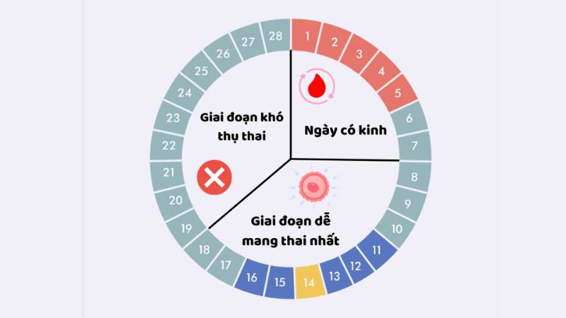 chu kỳ kinh nguyệt phụ nữ