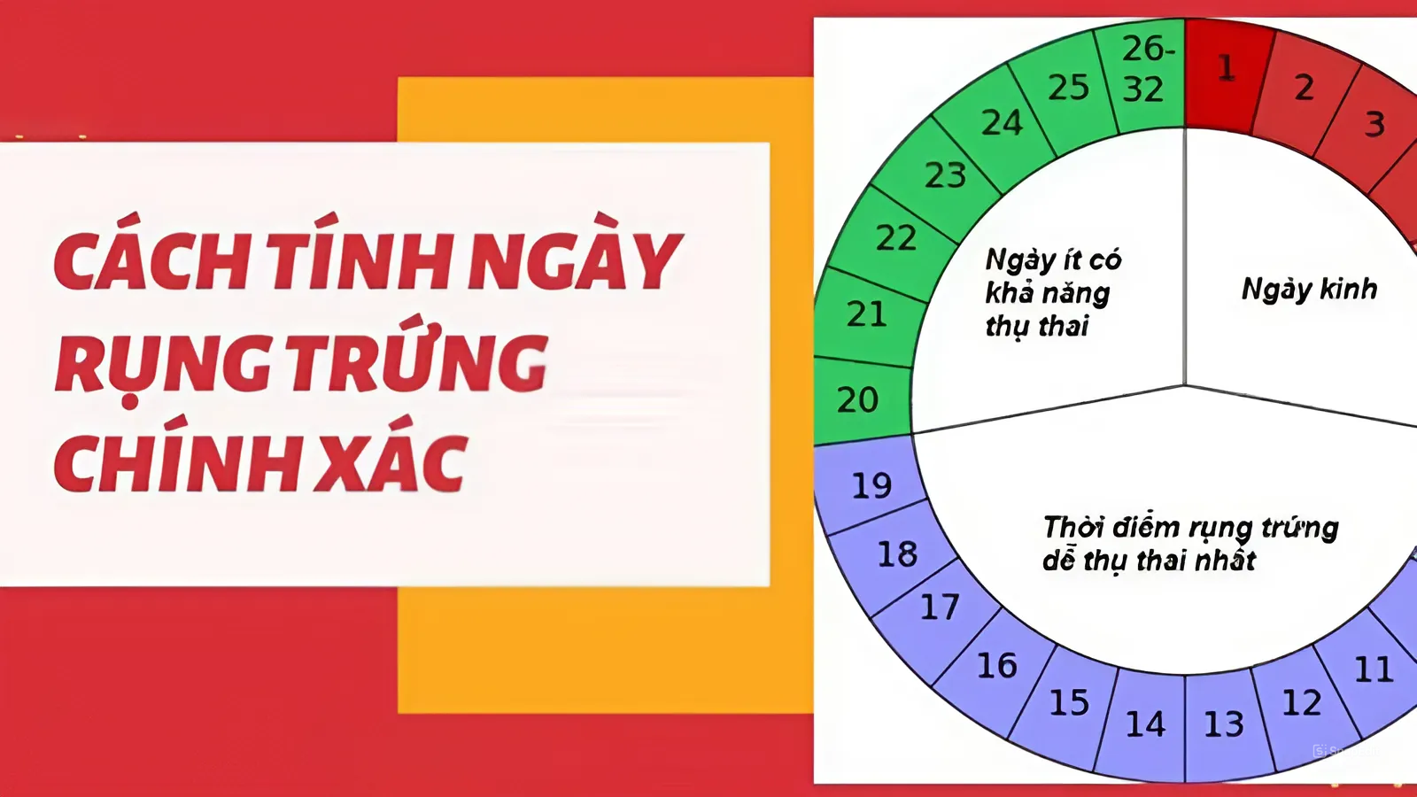 chu kỳ kinh nguyệt 30 ngày