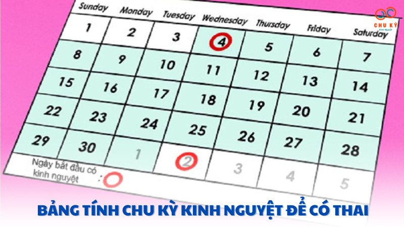 bảng tính chu kỳ kinh nguyệt để có thai