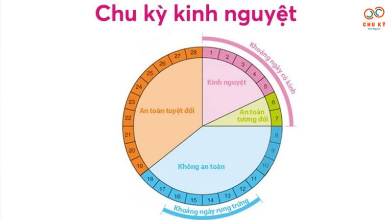 bảng tính chu kỳ kinh nguyệt để có thai