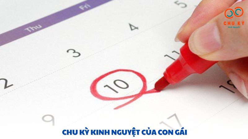 chu kỳ kinh nguyệt của con gái