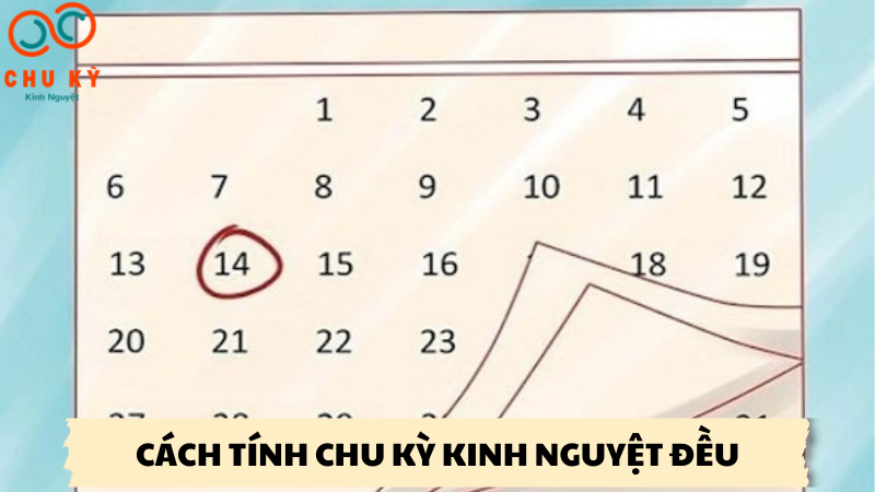 cách tính chu kỳ kinh nguyệt đều