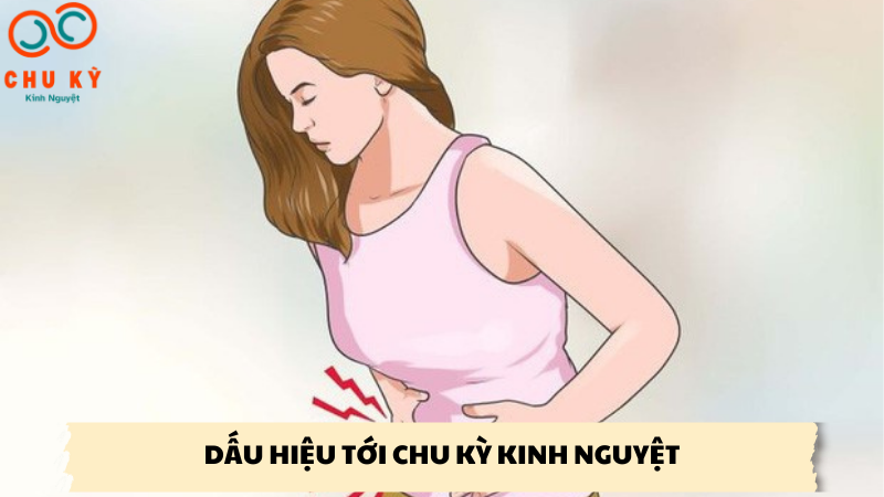 dấu hiệu tới chu kỳ kinh nguyệt